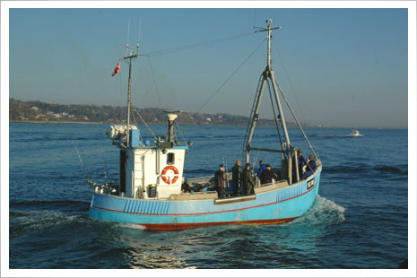 Bornholm er et mekka for lystfiskere